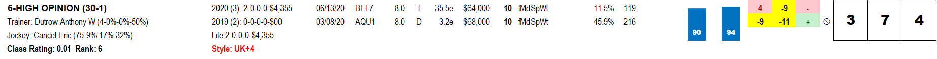 Pace Profile Report for High Opinion at Belmont Park on Oct. 10, 2020.